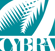 CYBRA Logo