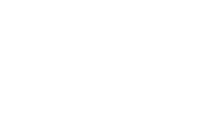 Lightbulb Grip and Electric Co